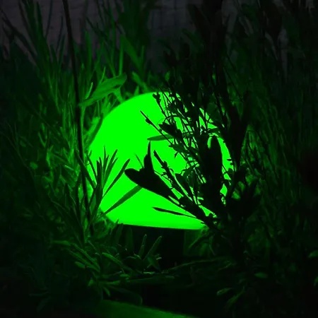 Vut Loaira - Disfrutar Y Descansar Apartamento Vilanova de Arousa