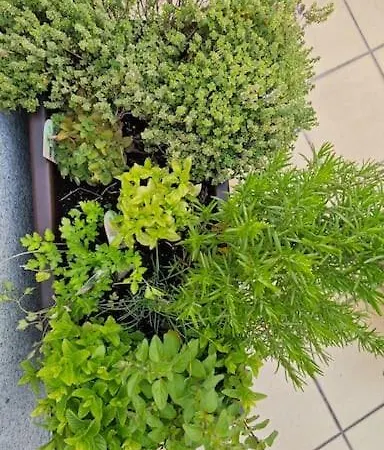 Vut Loaira - Disfrutar Y Descansar Apartamento