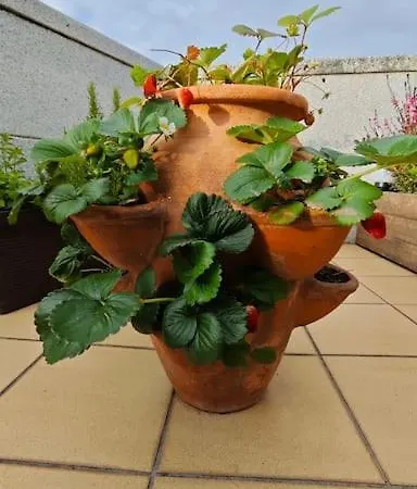 Vut Loaira - Disfrutar Y Descansar * Vilanova de Arousa